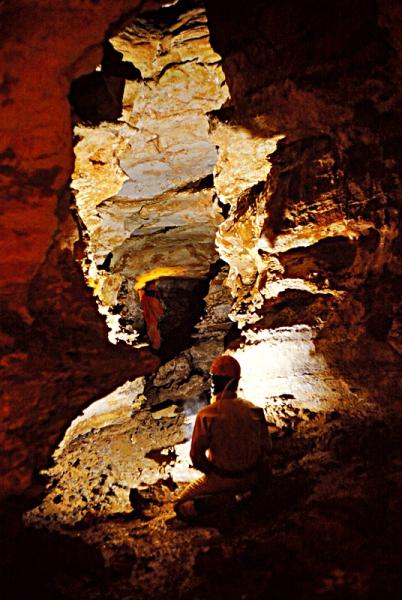 Fossile 2 eme etage